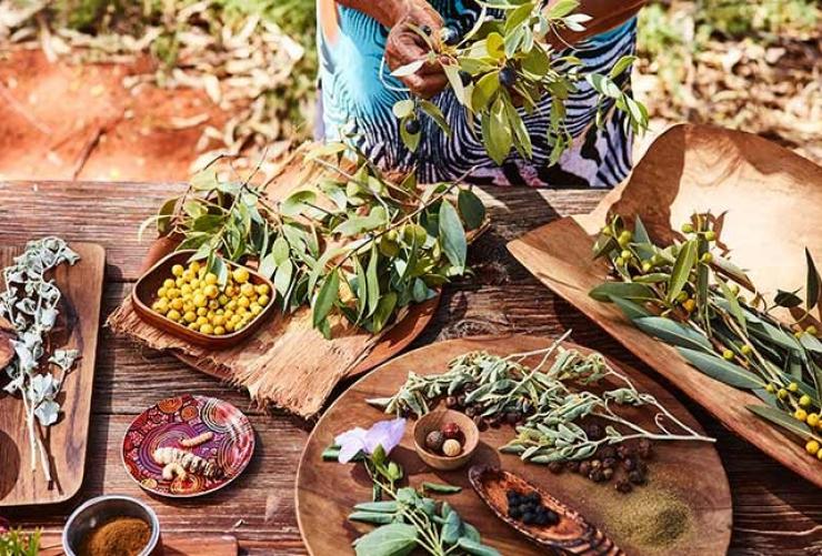 A table filled with native foods and leaves during a tour with Bush Tucker Journeys, Ayers Rock Resort, Northern Territory © Ayers Rock Resort A table filled with native foods and leaves during a tour with Bush Tucker Journeys, Ayers Rock Resort, Northern Territory © Ayers Rock Resort
