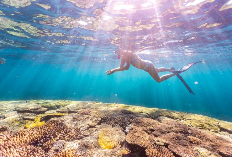 Snorkeller floats above a the colourful Ningaloo Reef at Coral Bay © Tourism Western Australia Snorkeller floats above a the colourful Ningaloo Reef at Coral Bay © Tourism Western Australia