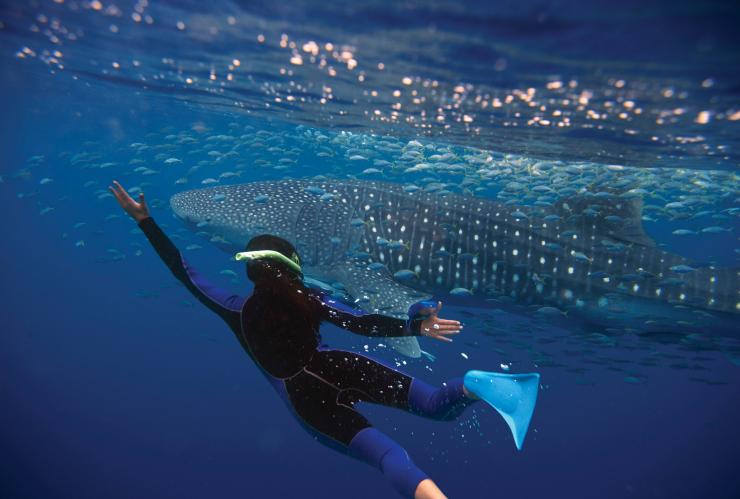 Exmouth, Ningaloo Marine Park, WA © Anson Smart, Tourism Australia