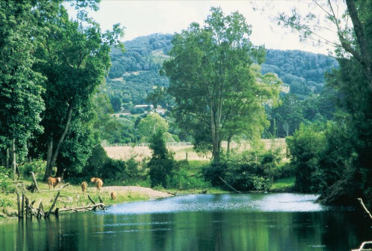 Mary Valley, Sunshine Coast, QLD © Tourism and Events Queensland