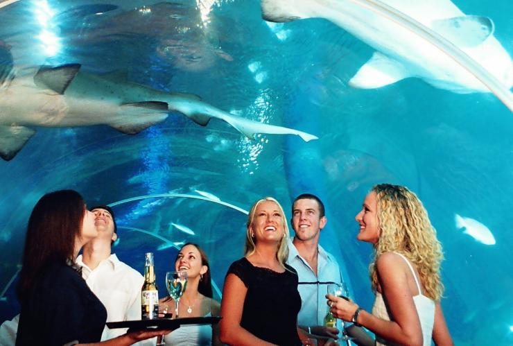 Sea Life Sunshine Coast, Mooloolaba, QLD © Tourism and Events Queensland