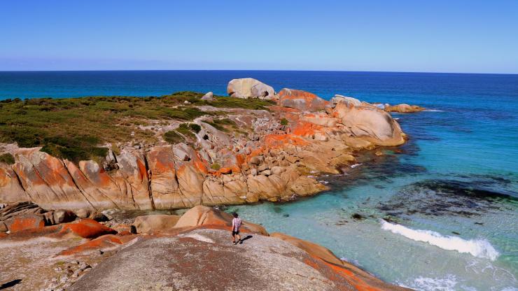 Bay of Fires, East Coast, TAS © Tourism Tasmania