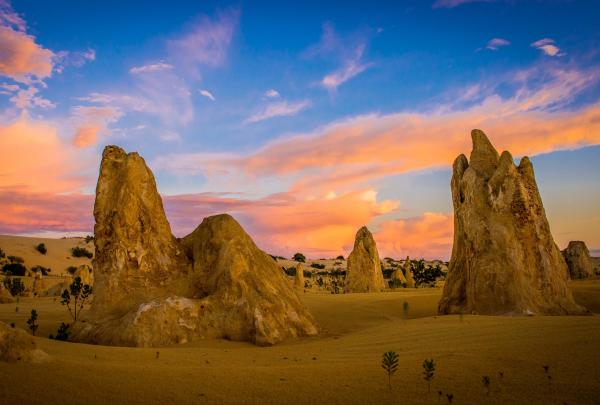 The Pinnacles, Nambung National Park, WA © Richard Rossiter