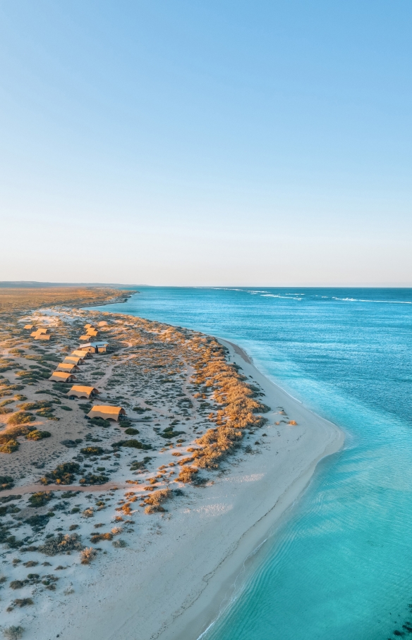 Aerial view of Sal Salis luxury accommodation amid the sand dunes on the coast of the bright blue waters of Ningaloo Reef, Western Australia © Sal Salis Ningaloo Reef