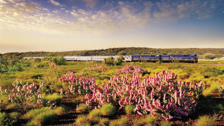 Indian Pacific, Adelaide, SA © Journey Beyond