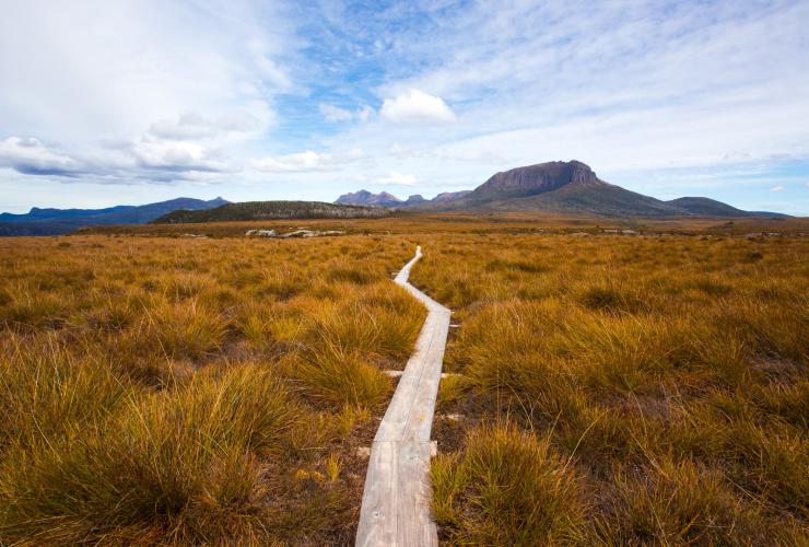Cradle Mountain Huts Overland Track Walk, Mount Pelion West, Cradle Mountain-Lake St Clair National Park, TAS © Tasmanian Walking Company / Great Walks of Australia Cradle Mountain Huts Overland Track Walk, Mount Pelion West, Cradle Mountain-Lake St Clair National Park, TAS © Tasmanian Walking Company / Great Walks of Australia