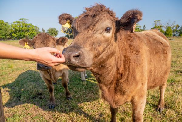 Byron Bay, NSW © Tourism Australia