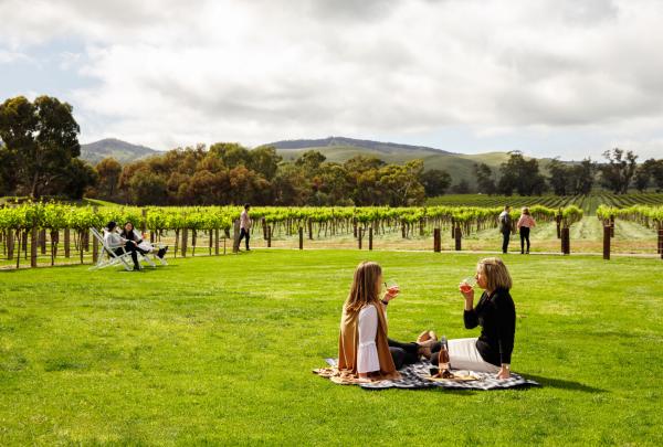 Jacob's Creek, Barossa Valley, SA © Tourism Australia