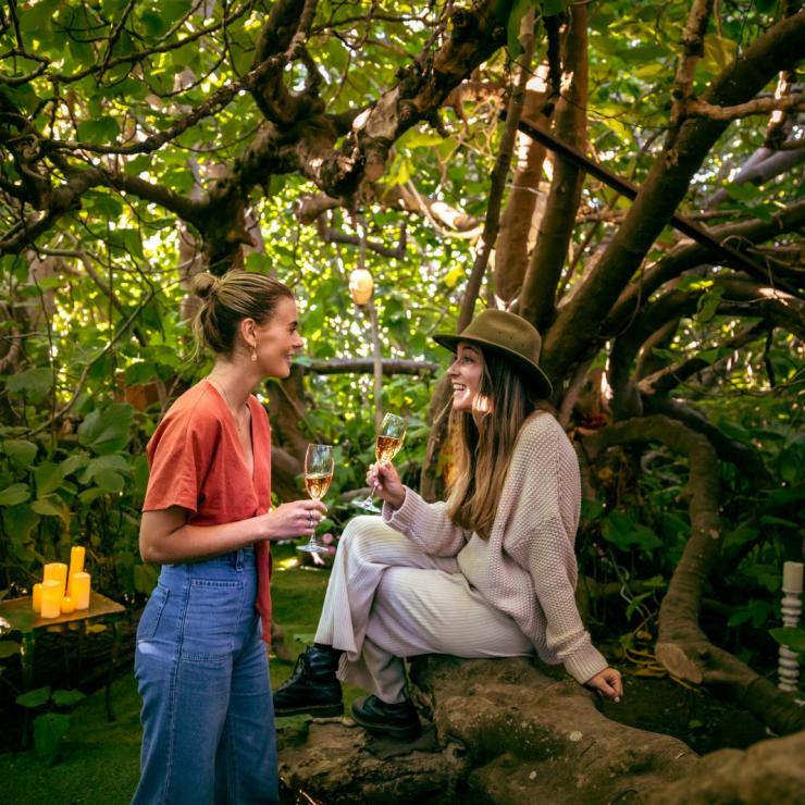 The Enchanted Fig Tree, Kangaroo Island, SA © South Australian Tourism Commission The Enchanted Fig Tree, Kangaroo Island, SA © South Australian Tourism Commission