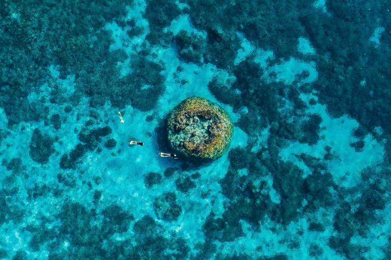 Snorkelling, Great Barrier Reef, Wilson Island, Queensland © Tourism and Events Queensland