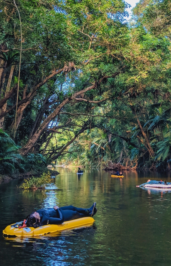 River Drift Snorkelling experience with Back Country Bliss Adventures, Daintree Rainforest, Queensland © Back Country Bliss Adventures