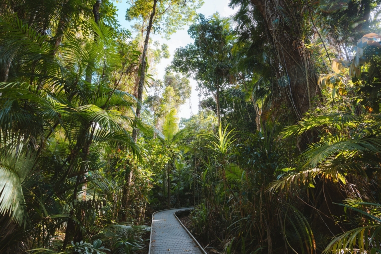  Cape Tribulation, Tropical North Queensland, QLD © Tourism Australia