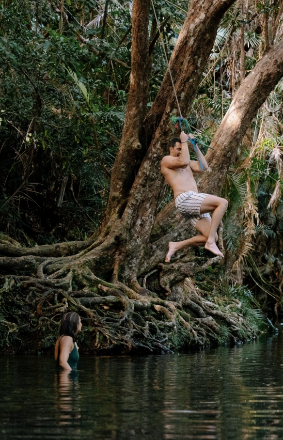 Cape Tribulation, Tropical North Queensland, QLD © Tourism Australia