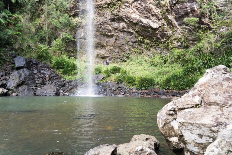 Twin Falls, Springbrook National Park, Queensland © Michael Taylor-Thomas