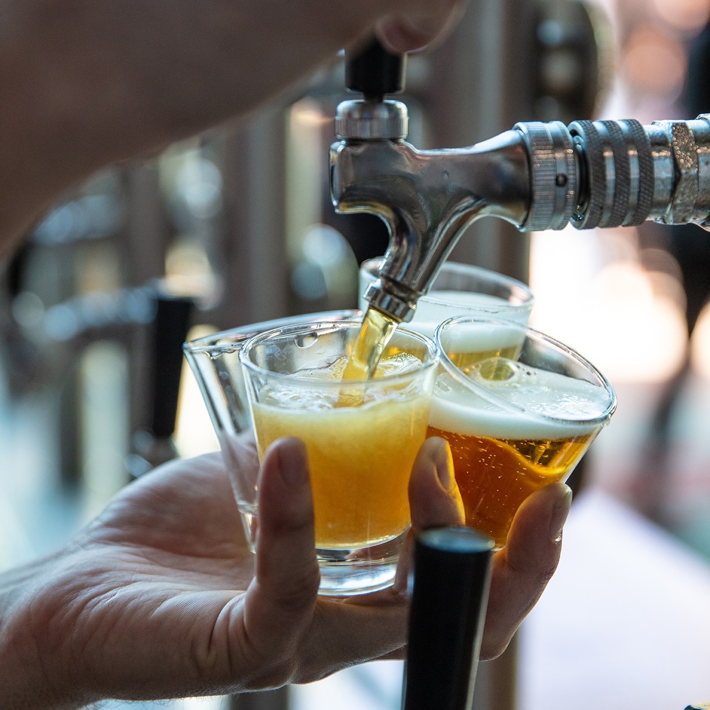 Pouring tasting beers, Little Creatures, Fremantle, Perth © Tourism Australia