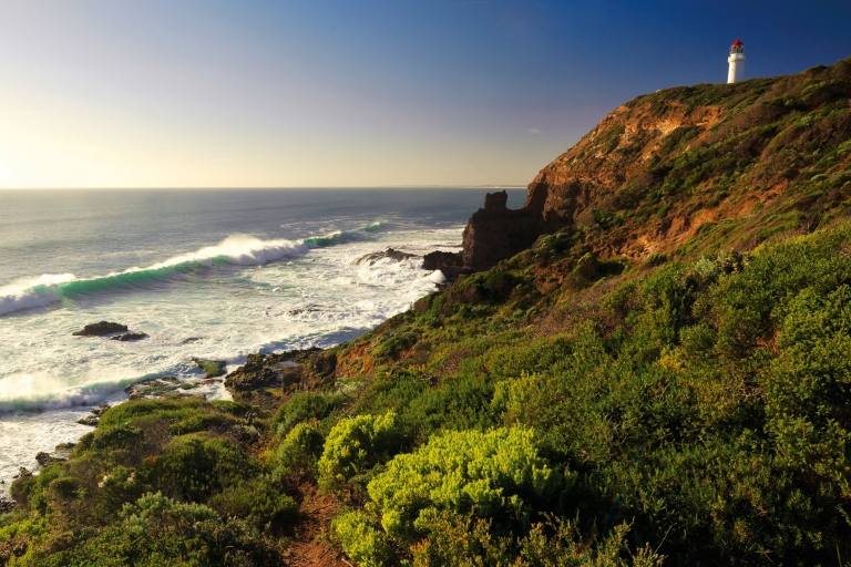 Cape Schanck Boardwalk, Mornington Peninsula, VIC © Mornington Peninsula Regional Tourism