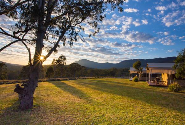 Scenic Rim Trail by Spicers, Spicers Canopy Camp, Main Range National Park, QLD © Spicers Retreats, Great Walks of Australia