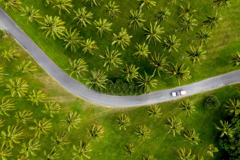  Aerial of car driving through palm trees in Tropical North Queensland © Tourism and Events Queensland / Sean Scott.