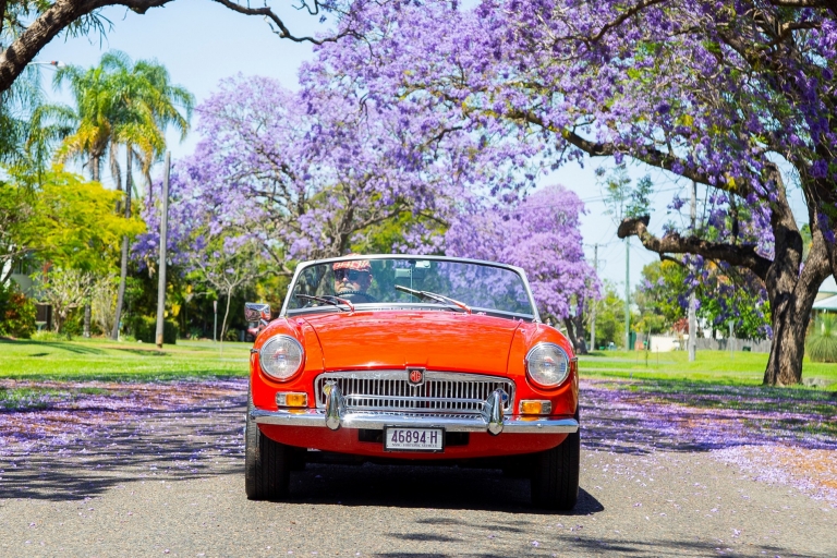 Vintage red car driving down a road with jacarandas in bloom © Destination NSW