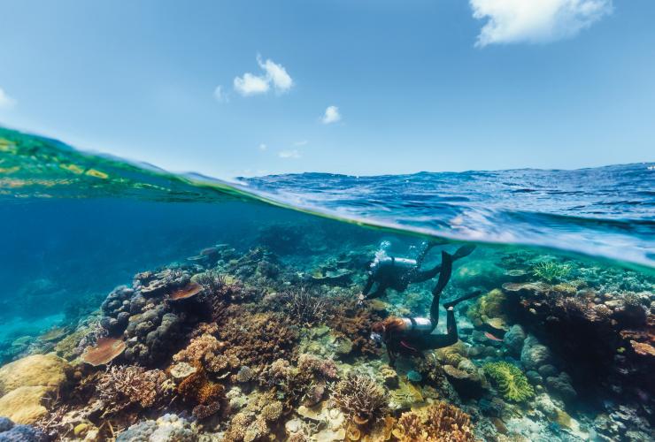 Snorkelling Agincourt Reef, Port Douglas, QLD © Tourism and Events Queensland