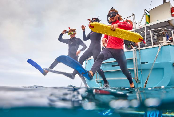 Three people wearing wetsuits, flippers and snorkels jumping off the back of a boat into the ocean with Sea All Dolphin Swims, Bellarine Peninsula, Victoria © Tourism Australia