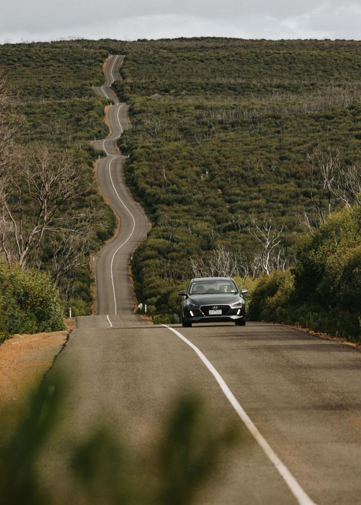 A car driving along a road woven through bushland in Flinders Chase National Park, Kangaroo Island, South Australia © Kangaroo Island Tourism Alliance A car driving along a road woven through bushland in Flinders Chase National Park, Kangaroo Island, South Australia © Kangaroo Island Tourism Alliance