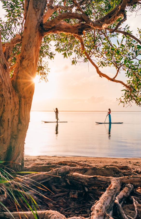 Paddleboarding, Noosa, QLD © Tourism and Events Queensland