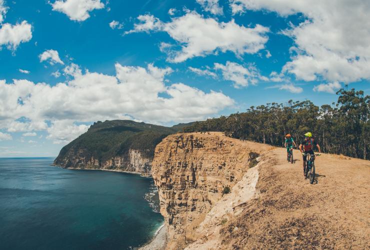 Mountain biking, Maria Island National Park, TAS © Flow Mountain Bike