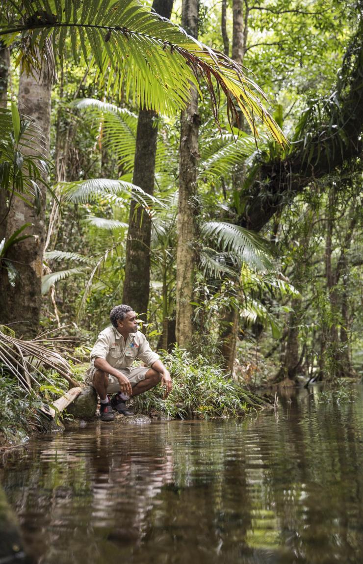 Voyages Indigenous Tourism, Mossman Gorge Centre, Queensland © Tourism Australia Voyages Indigenous Tourism, Mossman Gorge Centre, Queensland © Tourism Australia