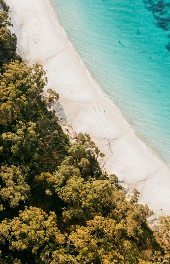 Murrays Beach, Jervis Bay, New South Wales © Destination New South Wales