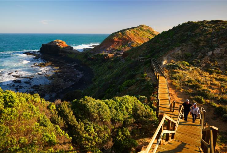Cape Schanck Boardwalk, Mornington Peninsula, VIC © Mornington Peninsula Regional Tourism