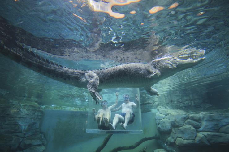 Crocodile, Crocosaurus Cove, Darwin, NT © Tourism Australia Crocodile, Crocosaurus Cove, Darwin, NT © Tourism Australia