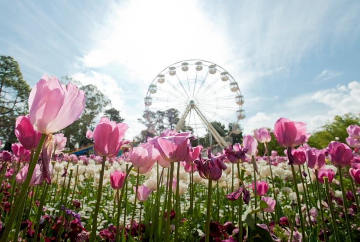 Floriade, Canberra, ACT © Visit Canberra Floriade, Canberra, ACT © Visit Canberra