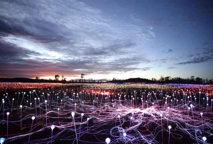 Field of Light, Uluru, NT © Tourism Australia Field of Light, Uluru, NT © Tourism Australia