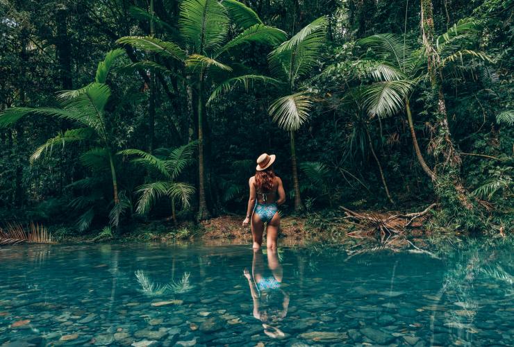 Daintree Rainforest, QLD. © Tourism and Events Queensland Daintree Rainforest, QLD. © Tourism and Events Queensland