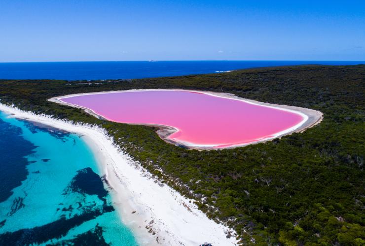 Lake Hillier, Middle Island near Esperance, WA © Tourism Western Australia Lake Hillier, Middle Island near Esperance, WA © Tourism Western Australia