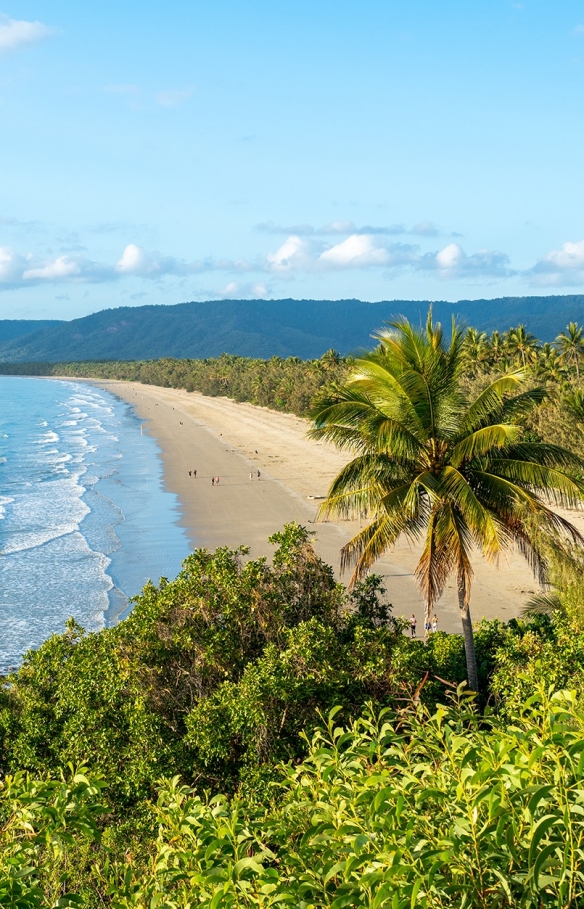 Aerial view of beach, Port Douglas, Queensland © Tourism Australia