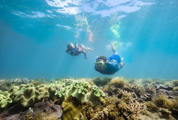 Snorkelling with Ocean Rafting in the Whitsundays, QLD © Tourism Australia