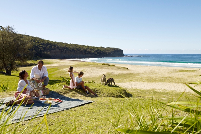 Pebbly Beach, South Coast, NSW © Tourism Australia 