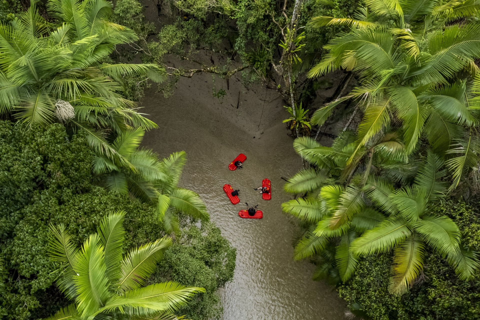 Back Country Bliss Adventures, Daintree Rainforest, Queensland © Tourism and Events Queensland