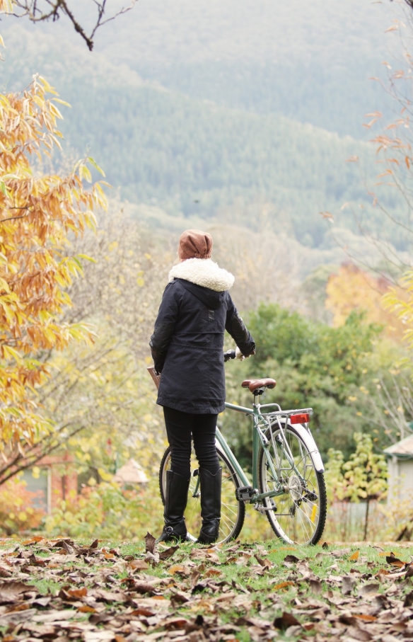 High Country Harvest Festival, VIC © Tourism Australia