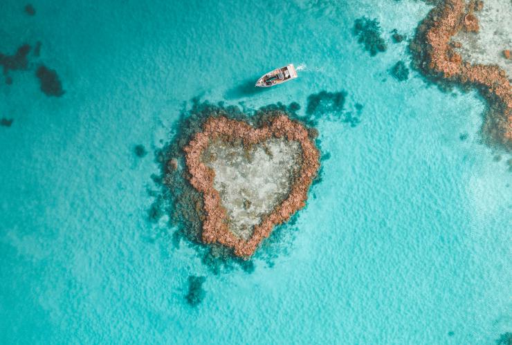 Heart Reef, Great Barrier Reef, QLD © Saltywings 