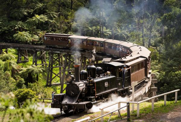Puffing Billy, Dandenong Ranges, VIC © Robert Blackburn/ Visit Victoria