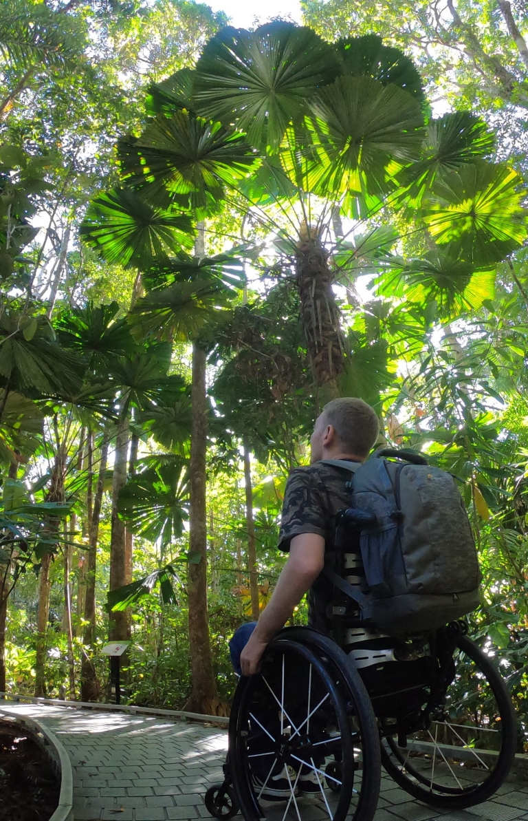 Man in a wheelchai looking up at the canopy of the Daintree Rainforest along an accessible path in Queensland © Tourism and Events Queensland