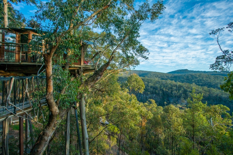 Wollemi Forest, Blue Mountains, NSW © Wollemi Cabins