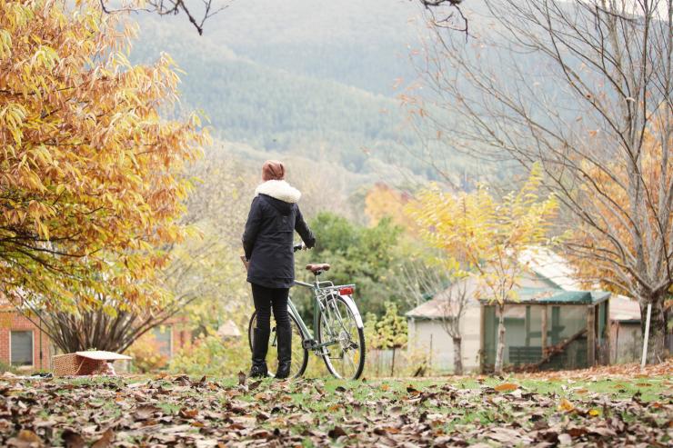 High Country Harvest Festival, VIC © Tourism Australia