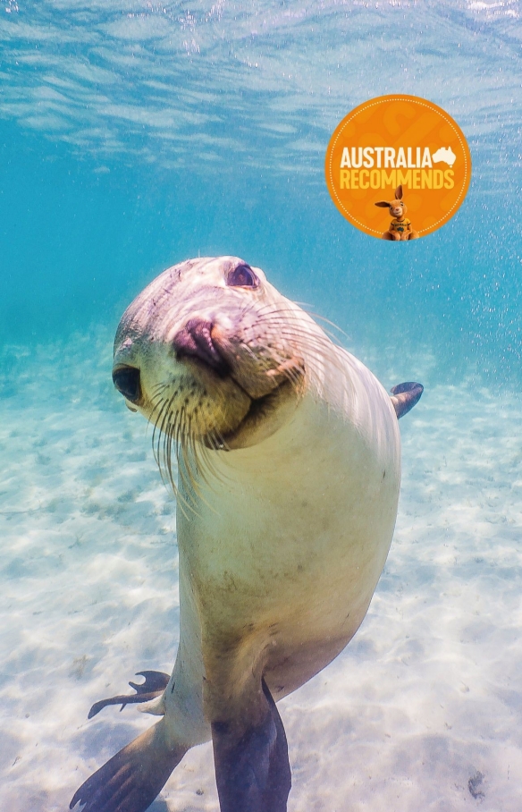 Eyre Peninsula, SA © David Edgar