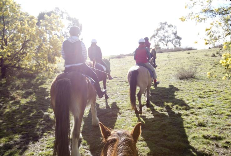 Burnelee Excursions, Canberra, ACT © VisitCanberra Burnelee Excursions, Canberra, ACT © VisitCanberra