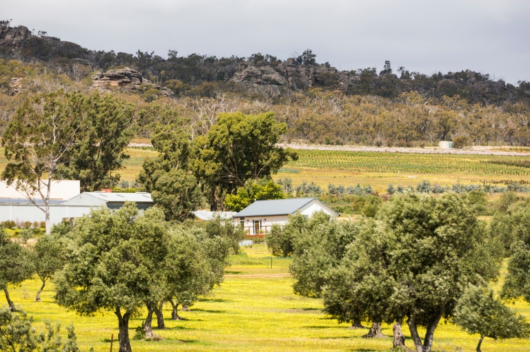  Grampians Olive Co, Grampians National Park, Victoria © Rob Blackburn Photography