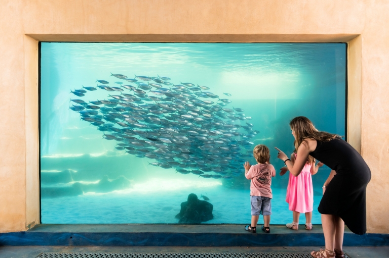 Aquarium of Western Australia, Perth, Western Australia © AQWA